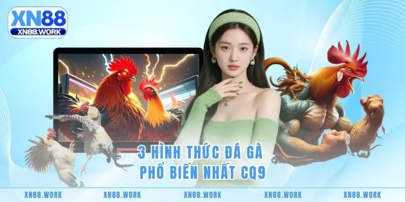 3 hình thức đá gà phổ biến nhất CQ9