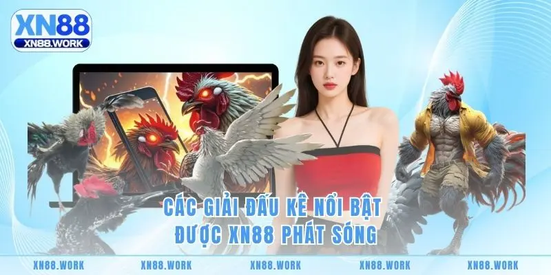 Các giải đấu kê nổi bật được XN88 phát sóng