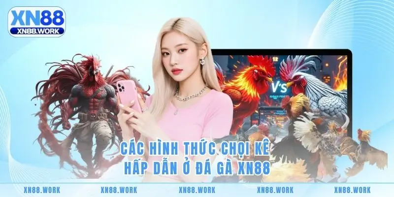 Các hình thức chọi kê hấp dẫn ở đá gà XN88