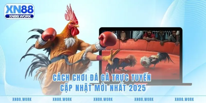 Cách Chơi Đá Gà Trực Tuyến Cập Nhật Mới Nhất 2025