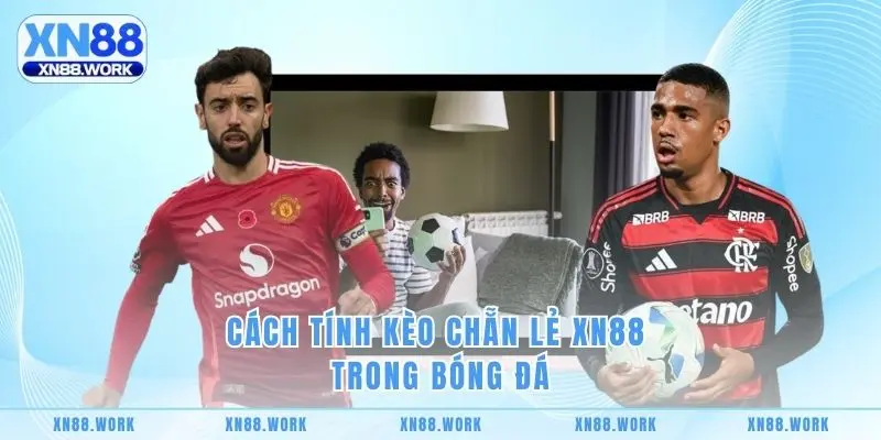 Cách tính kèo chẵn lẻ XN88 trong bóng đá