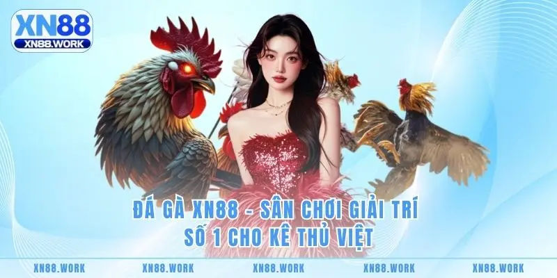 Đá Gà XN88 - Sân Chơi Giải Trí Số 1 Cho Kê Thủ Việt