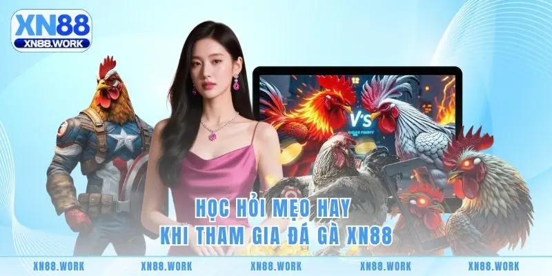 Học hỏi mẹo hay khi tham gia đá gà XN88