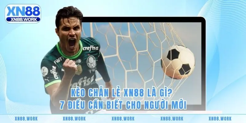 Kèo Chẵn Lẻ XN88 Là Gì? 7 Điều Cần Biết Cho Người Mới