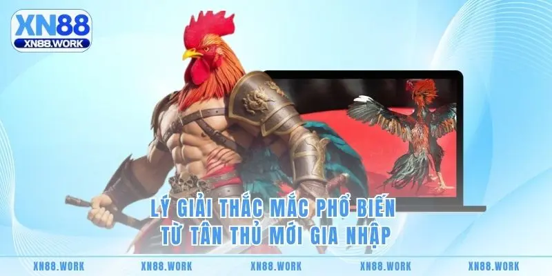 Lý giải thắc mắc phổ biến từ tân thủ mới gia nhập