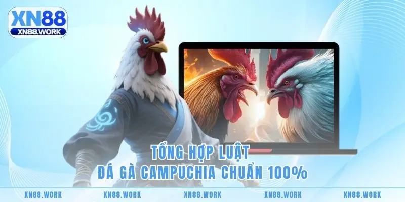 Tổng hợp luật đá gà Campuchia chuẩn 100%