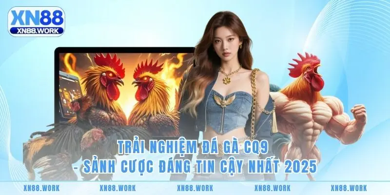 Trải Nghiệm Đá Gà CQ9 - Sảnh Cược Đáng Tin Cậy Nhất 2025